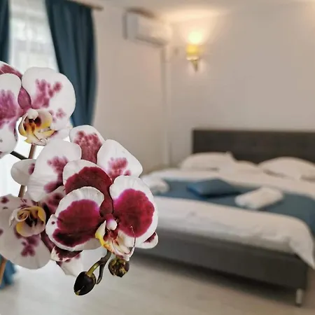 Casa Loro-2